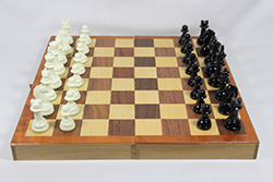 樹脂駒×木盤(小3)